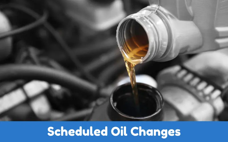 Scheduled Oil changes