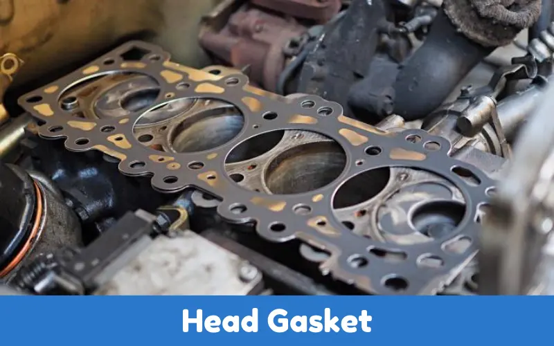 Head Gasket