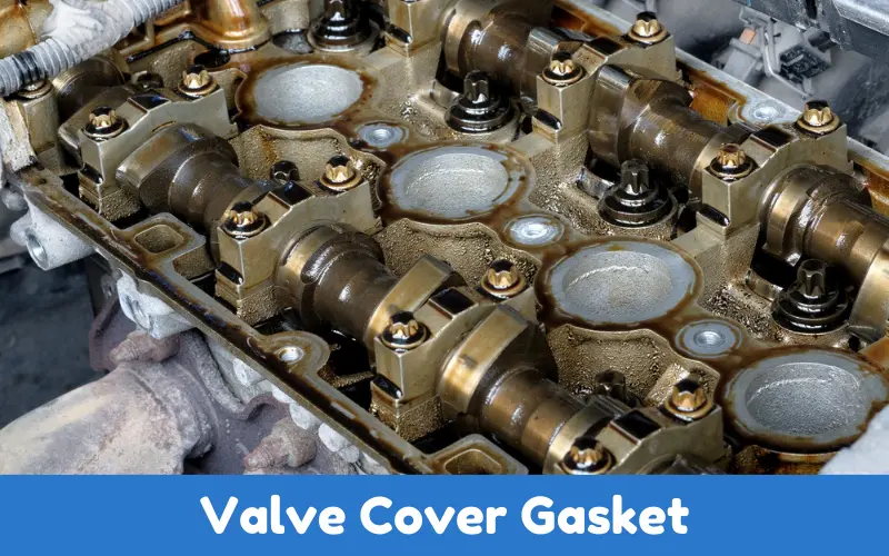 Valve Cover Gasket